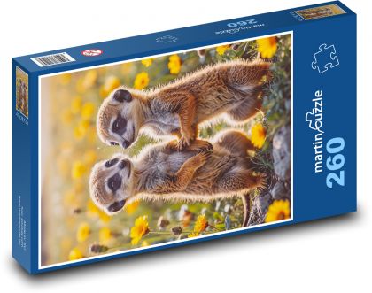 Meerkats in flowers - Puzzle 260 pieces, size 41x28.7 cm 