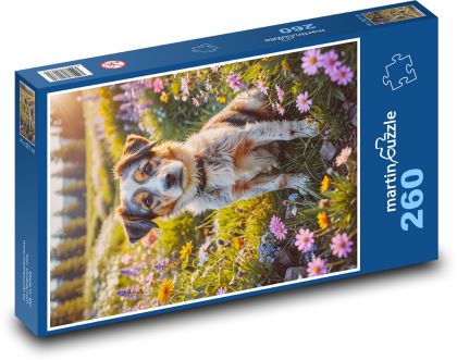 Pes na lúke - Puzzle 260 dielikov, rozmer 41x28,7 cm