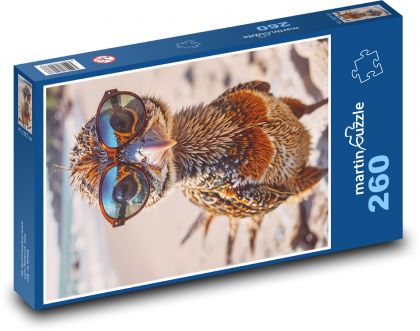 Pták v brýlích - puzzle 260 dílků