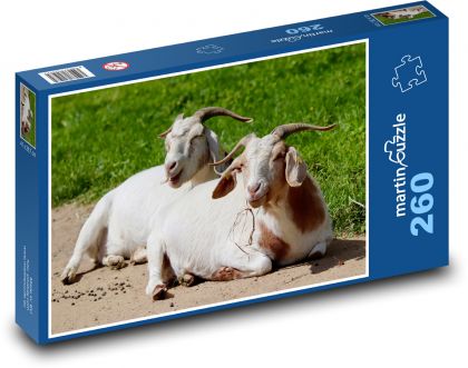 Domestic goats - Puzzle 260 pieces, size 41x28.7 cm 