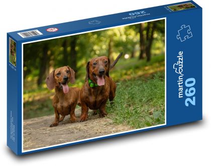 Psy - jazvečíky - Puzzle 260 dielikov, rozmer 41x28,7 cm
