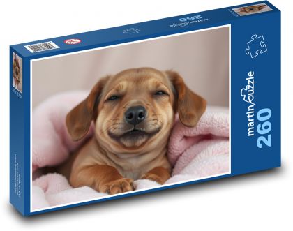 The Smiling - Puzzle 260 pieces, size 41x28.7 cm 