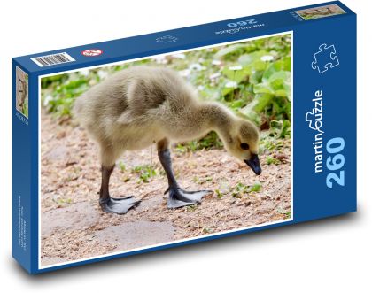 Gęś kanadyjska - Puzzle 260 elementów, rozmiar 41x28,7 cm