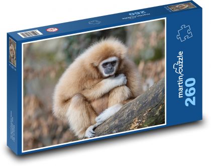 Gibon - Affen - Puzzle - 260 Teile