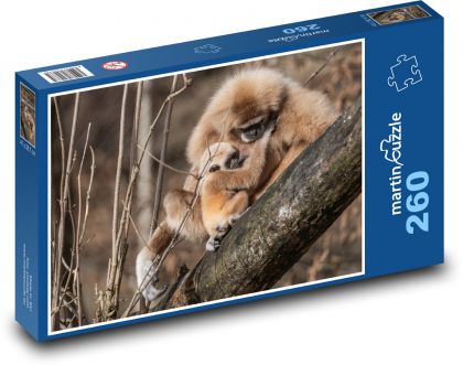 Giboni - Puzzle 260 dielikov, rozmer 41x28,7 cm