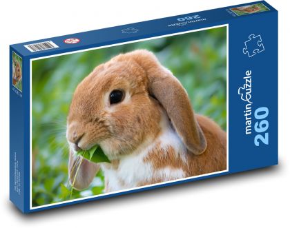 Króliki - Puzzle 260 elementów, rozmiar 41x28,7 cm