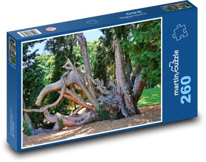 Kořeny stromu - puzzle 260 dílků