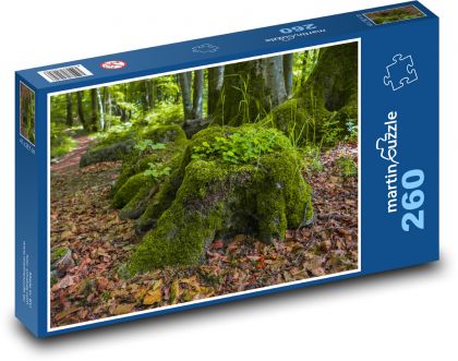 Wald - Stümpfe - Puzzle - 260 Teile