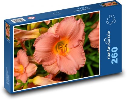 Taglilienblüte - Puzzle - 260 Teile