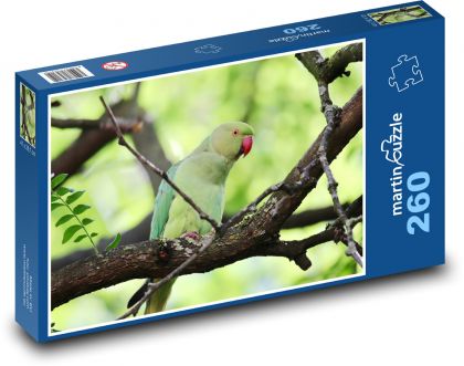 Andulka na stromě - puzzle 260 dílků