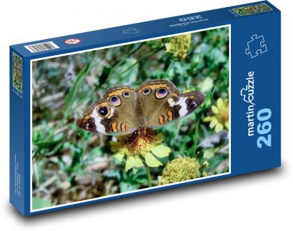 Motýl - puzzle 260 dílků