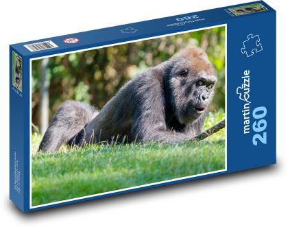 Der Gorilla liegt im Gras - Puzzle - 260 Teile