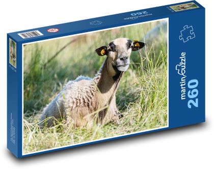 Owce leżące w trawie - Puzzle 260 elementów, rozmiar 41x28,7 cm