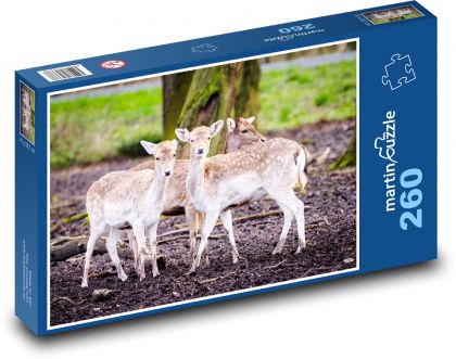 fallow deer - Puzzle 260 pieces, size 41x28.7 cm 