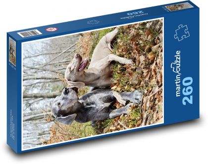 psy - Puzzle 260 dielikov, rozmer 41x28,7 cm