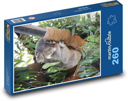 Spiace koaly - Puzzle 260 dielikov, rozmer 41x28,7 cm
