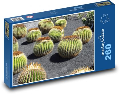 Cactus Garden - Lanzarote - Puzzle 260 pieces, size 41x28.7 cm 