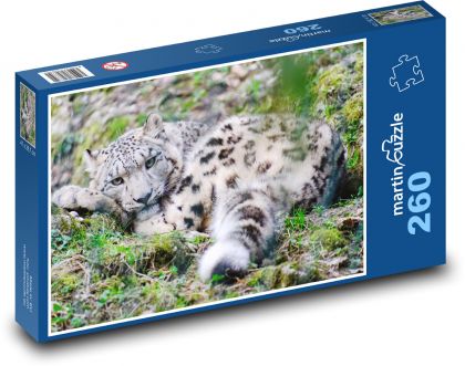 Odpočívajúci leopard - Puzzle 260 dielikov, rozmer 41x28,7 cm