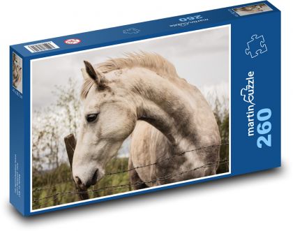 Dziki koń - Puzzle 260 elementów, rozmiar 41x28,7 cm