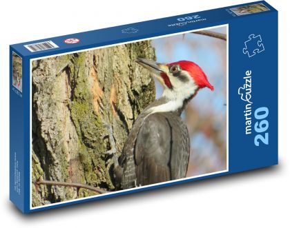 Ďateľ - Puzzle 260 dielikov, rozmer 41x28,7 cm