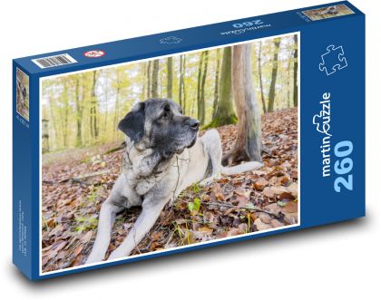 Ein Hund im Wald - Puzzle - 260 Teile