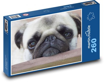 Pug Dog - Puzzle 260 pieces, size 41x28.7 cm 