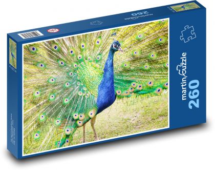 Pfau. - Puzzle - 260 Teile