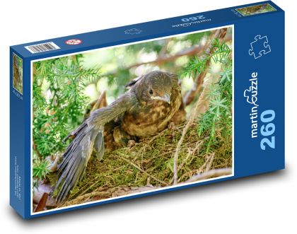 Kosa pisklę - Puzzle 260 elementów, rozmiar 41x28,7 cm