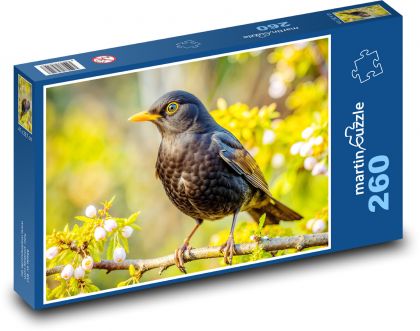 Blackbird - Puzzle 260 dielikov, rozmer 41x28,7 cm