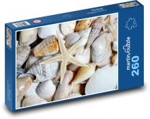 Rozgwiazdy, muszle Puzzle 260 elementów - 41x28,7 cm