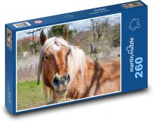 Koń Puzzle 260 elementów - 41x28,7 cm