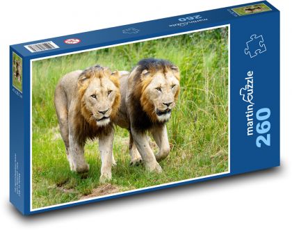 Leo leo - Puzzle 260 pieces, size 41x28.7 cm 