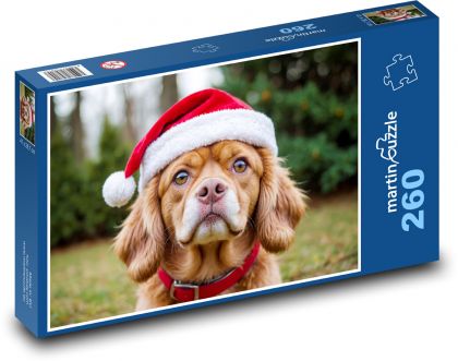 A dog in a hat - Puzzle 260 pieces, size 41x28.7 cm 