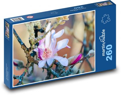 Květ magnólie - puzzle 260 dílků
