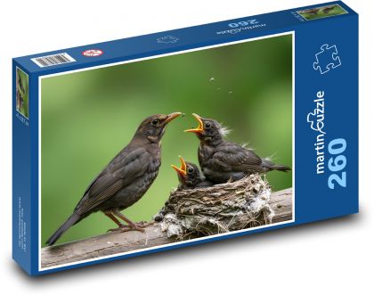 Kos - pisklęta - Puzzle 260 elementów, rozmiar 41x28,7 cm