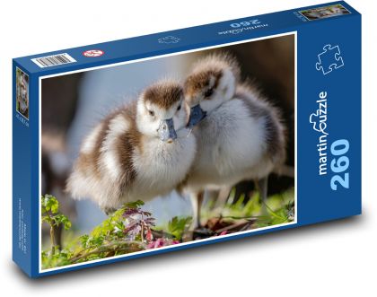 Egyptské husi - Puzzle 260 dielikov, rozmer 41x28,7 cm