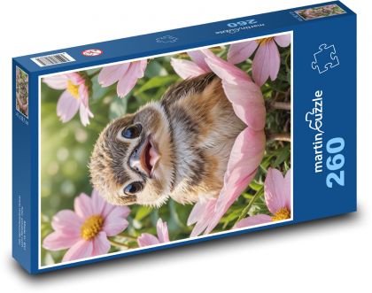 Ein Vogel in der Muschel - Puzzle - 260 Teile