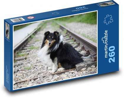 Shetlandský ovčák - puzzle 260 dílků