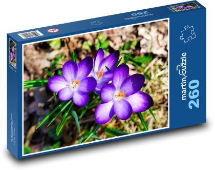 Krokusy - Puzzle 260 elementów, rozmiar 41x28,7 cm