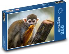 Monkey Puzzle 260 pieces - 41 x 28.7 cm