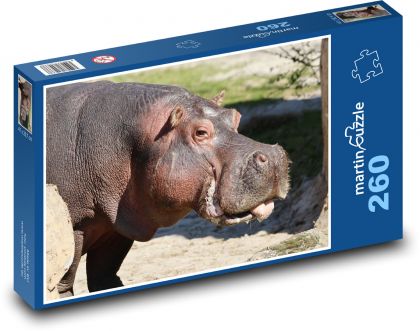 Hroch - Puzzle 260 dielikov, rozmer 41x28,7 cm