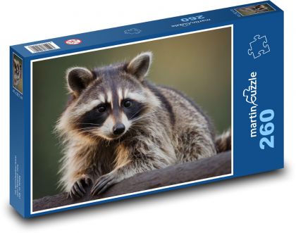 Szop pracz - Puzzle 260 elementów, rozmiar 41x28,7 cm