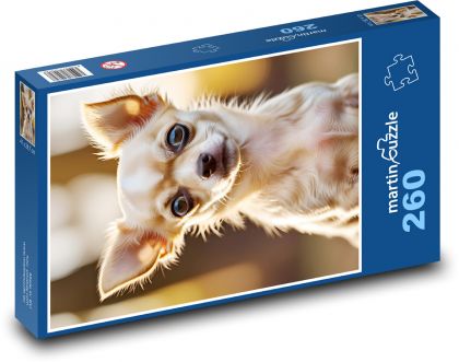 Chihuahua - Puzzle 260 elementów, rozmiar 41x28,7 cm