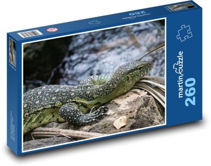 Iguana na kamieniu - Puzzle 260 elementów, rozmiar 41x28,7 cm