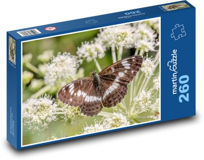 Motýl - puzzle 260 dílků