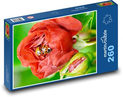 Rose und Sonnenblume - Puzzle - 260 Teile