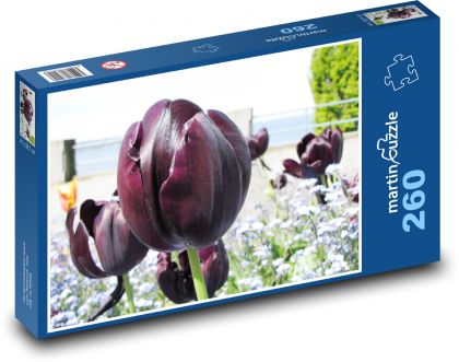 Tulipán. - Puzzle 260 dielikov, rozmer 41x28,7 cm