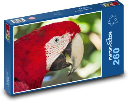 Papoušek - ara - puzzle 260 dílků