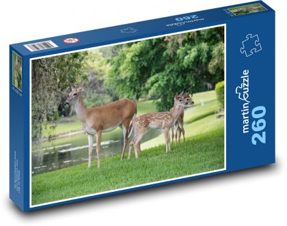 Deer in the park - Puzzle 260 pieces, size 41x28.7 cm 
