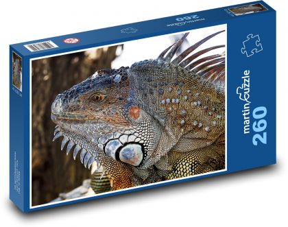 Leguán - jašterica - Puzzle 260 dielikov, rozmer 41x28,7 cm